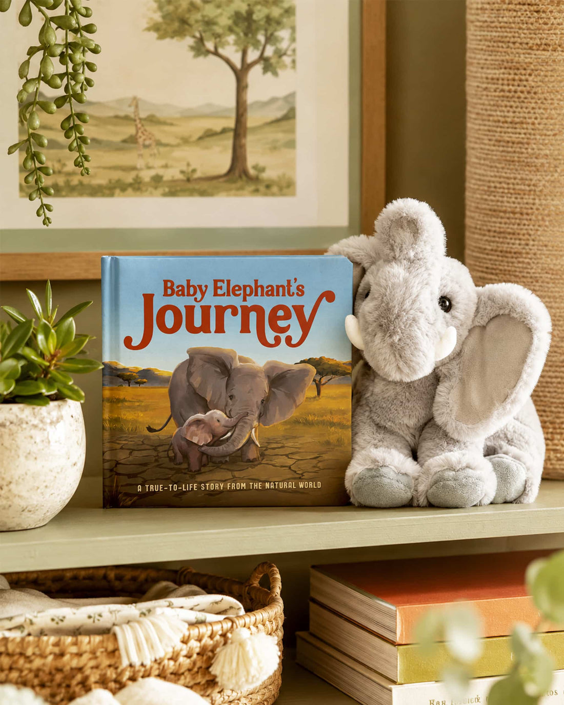 Baby Elephant's Journey