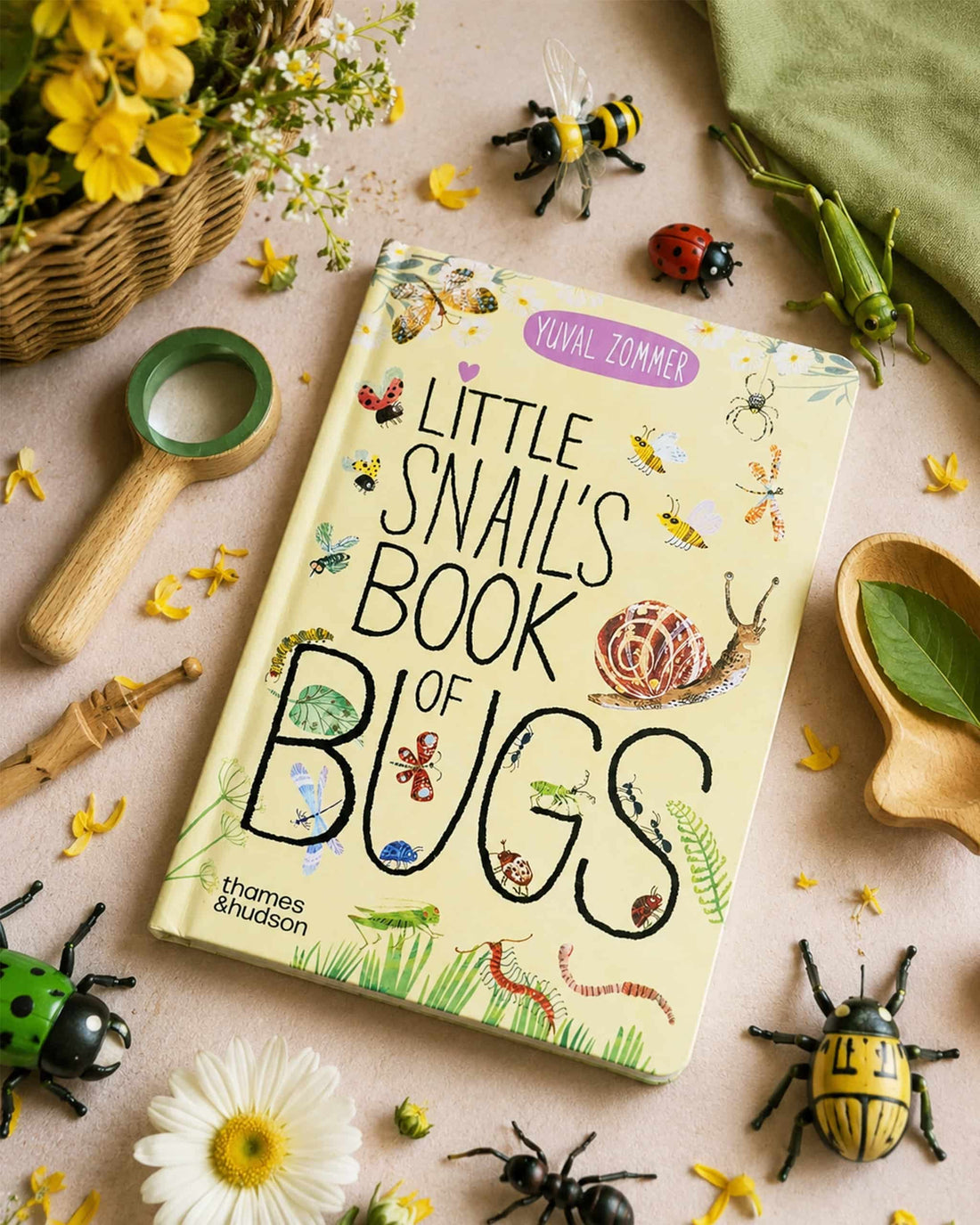 Little Snail's Book of Bugs