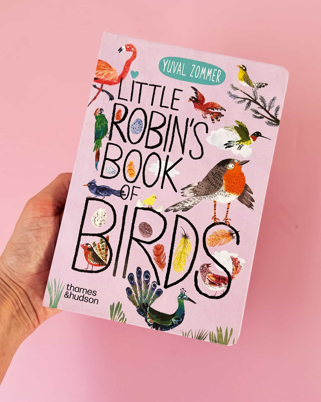 Little Robin's Book Of Birds