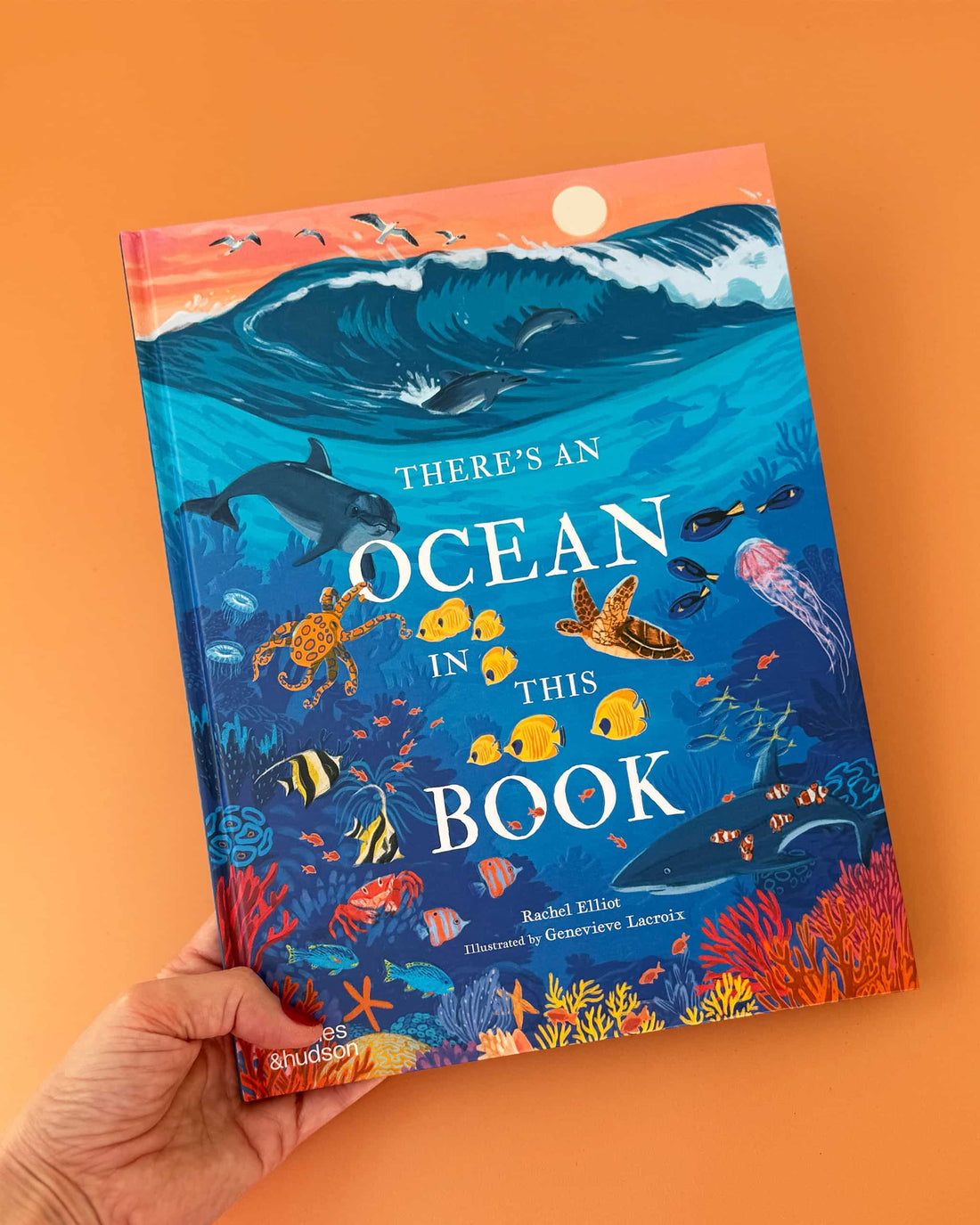 There's An Ocean In This Book