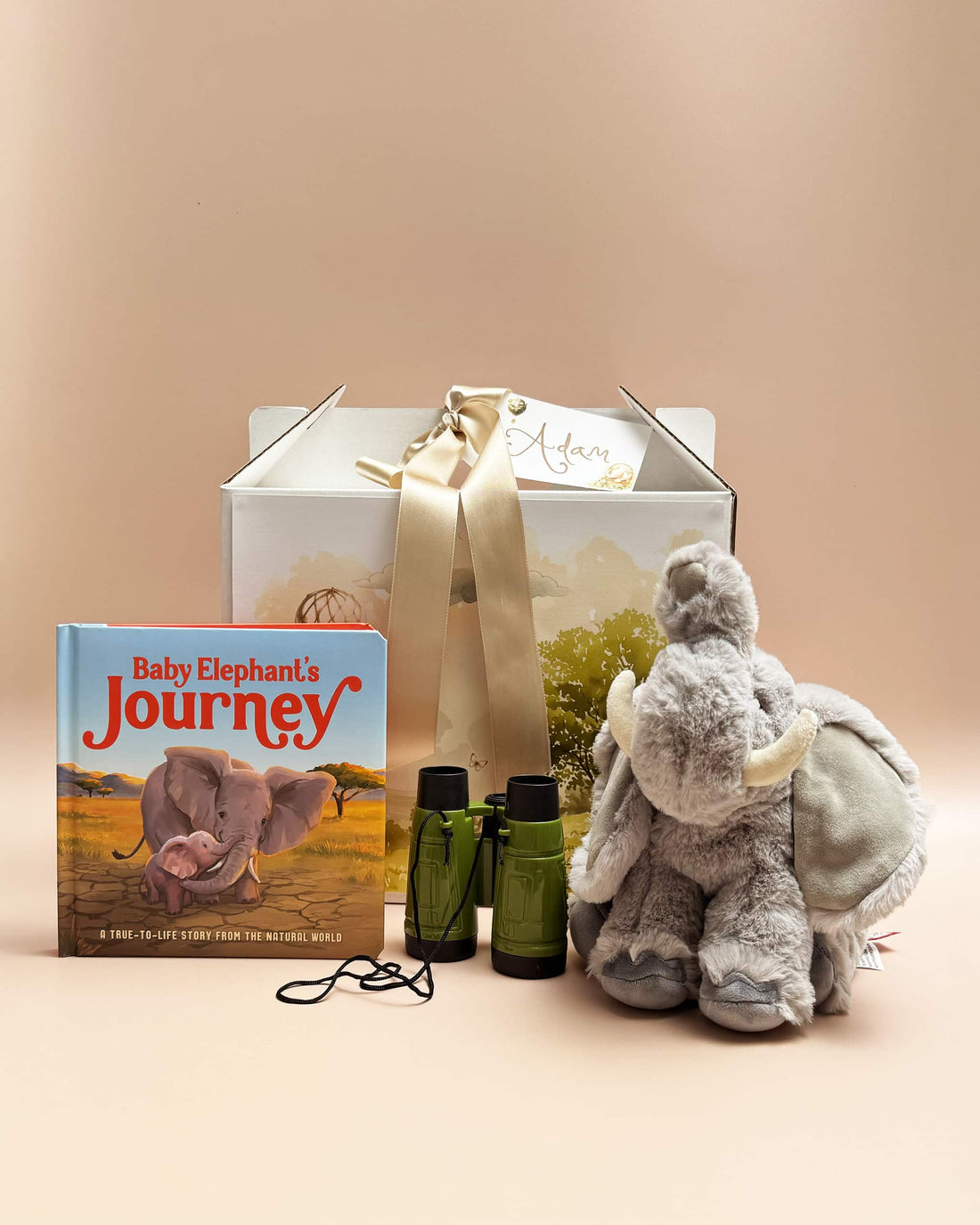 Ellie's Day Out Children's Gift Box