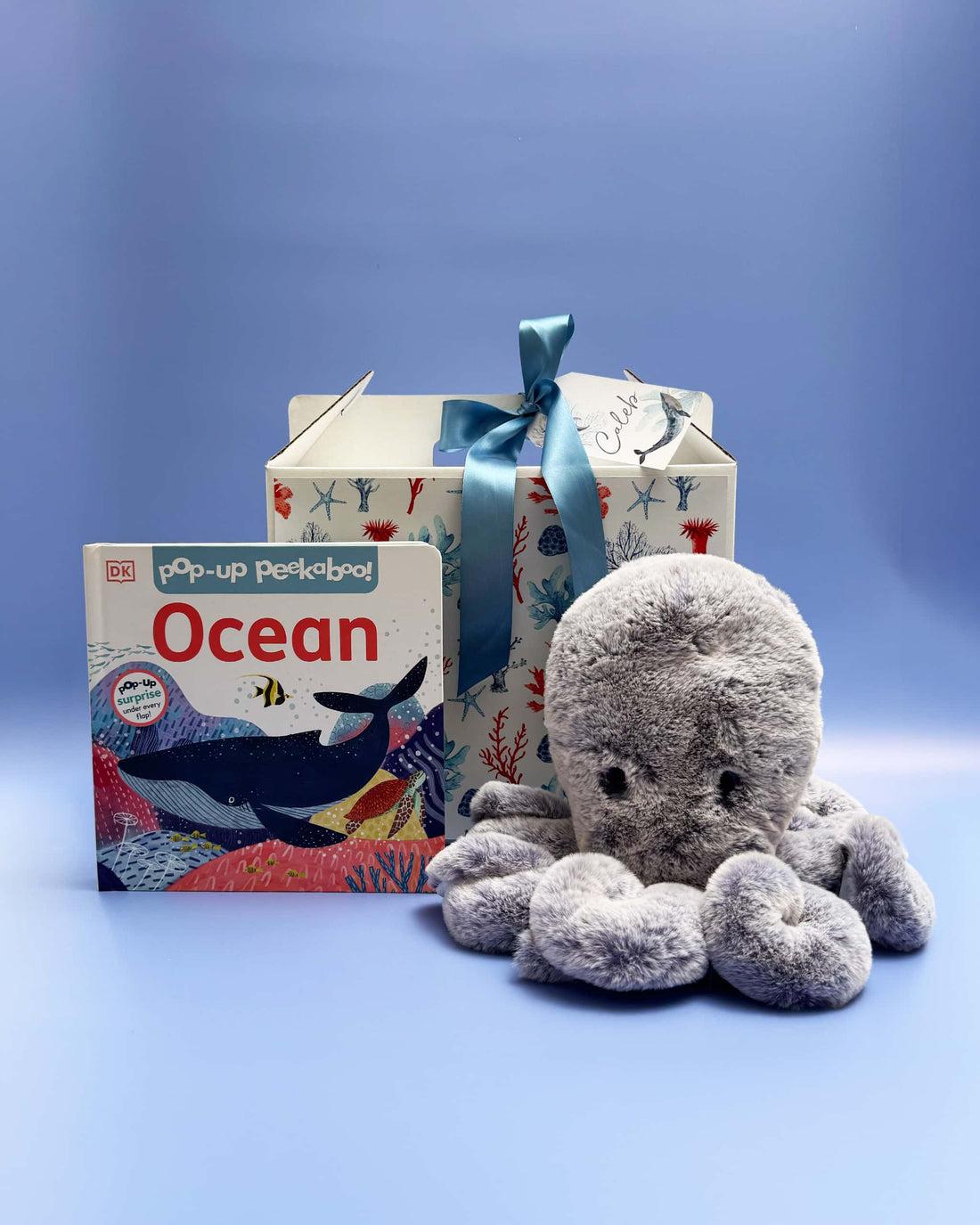 Octopus Ocean Children's Gift Box