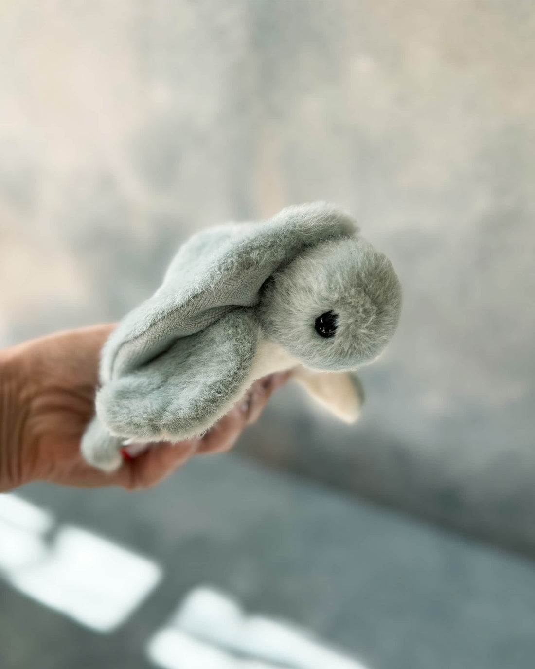 Lil Aqua Turtle Plush Toy